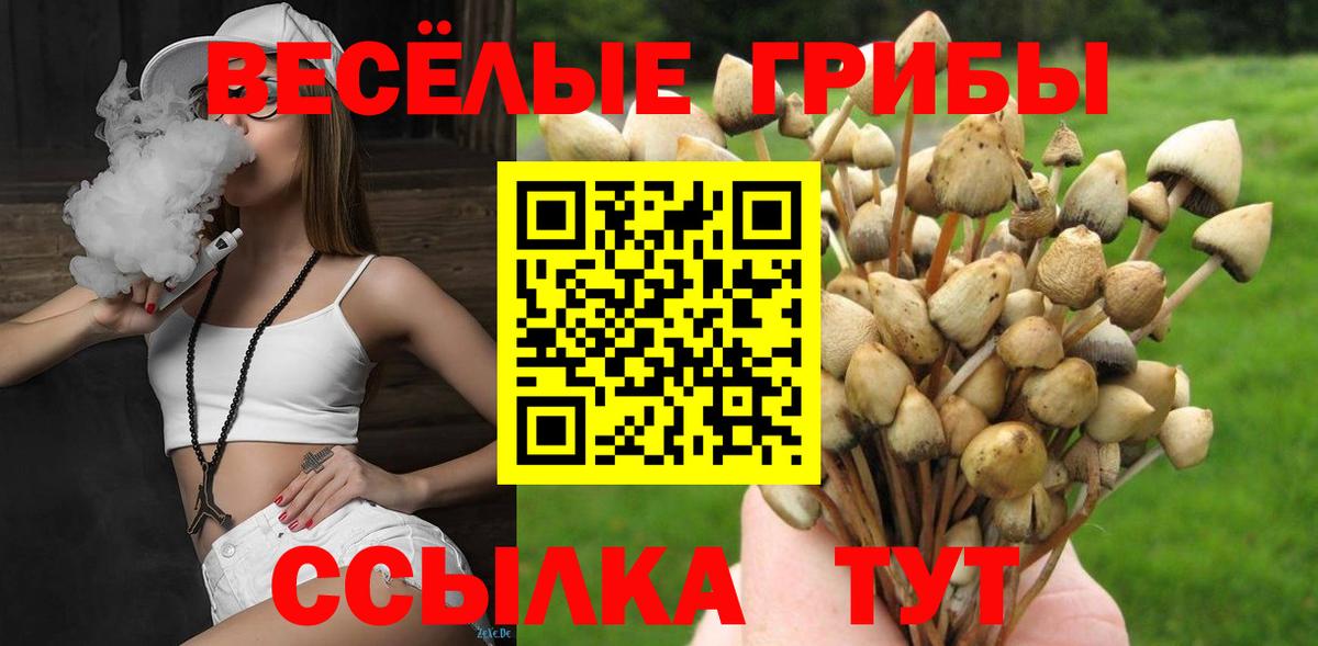 Галлюциногенные грибы Новоалтайск