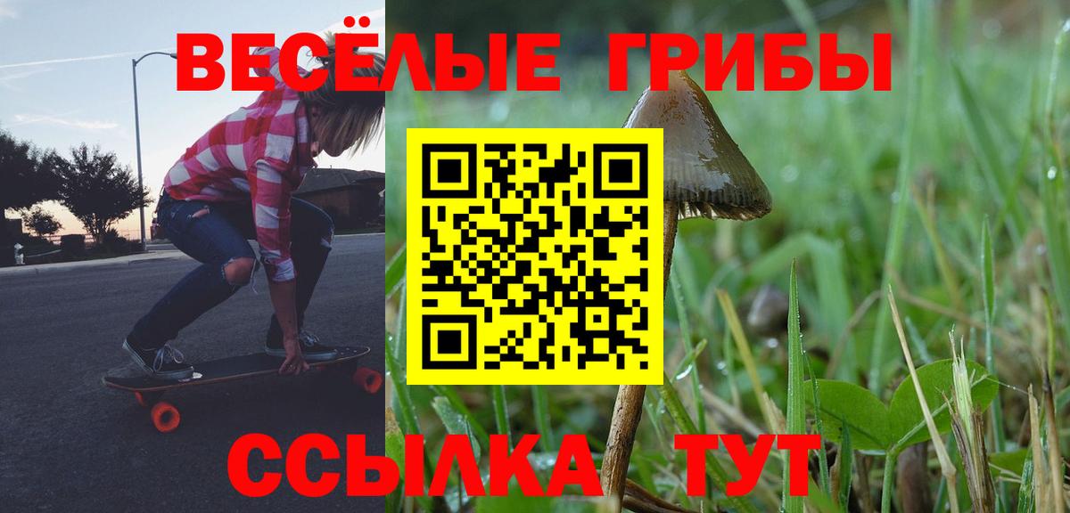Галлюциногенные грибы мицелий Новоалтайск